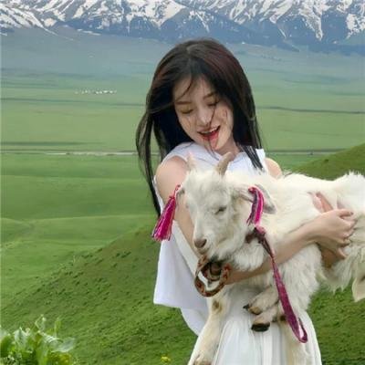 暗金烂狗7