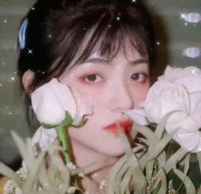 牵牛和仙女